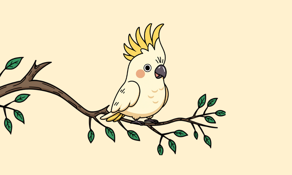 Cockatoo Room — Cockatoo