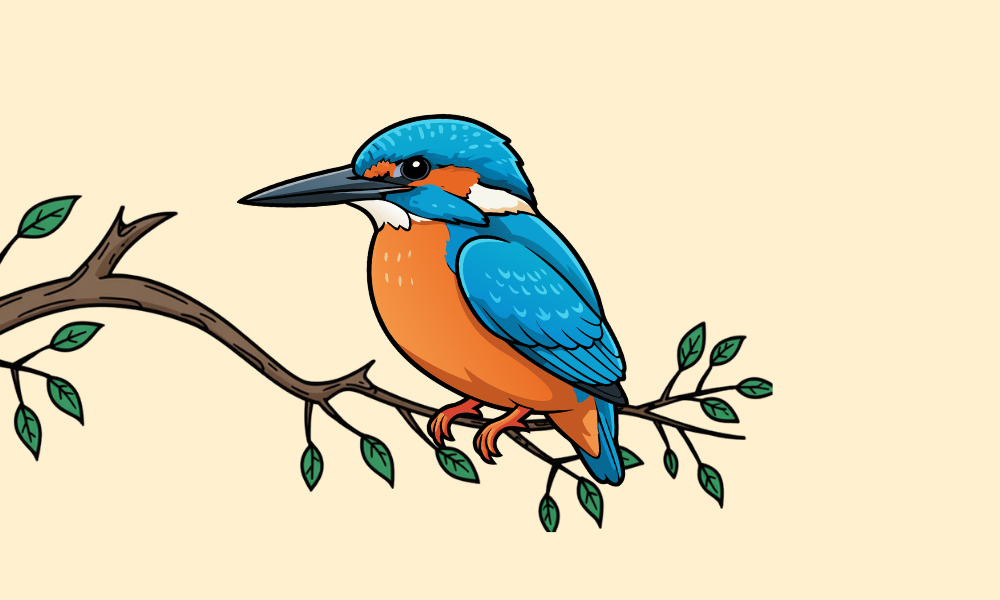 Kingfisher Room — Kingfisher