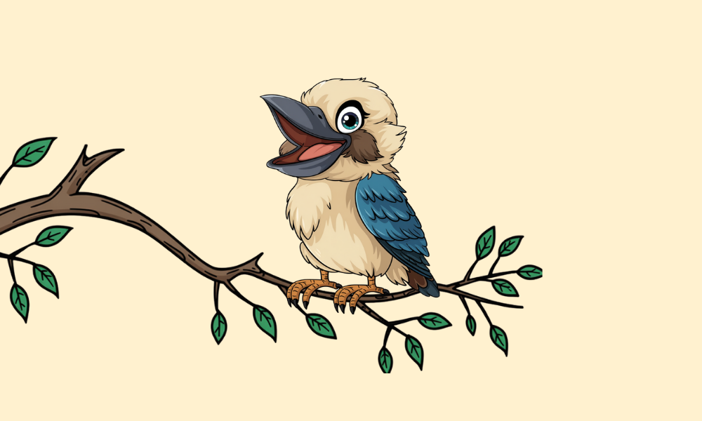 Kookaburra Room — Kookaburra